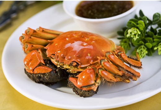 ��з�������ô����ѡ�õĴ�բз