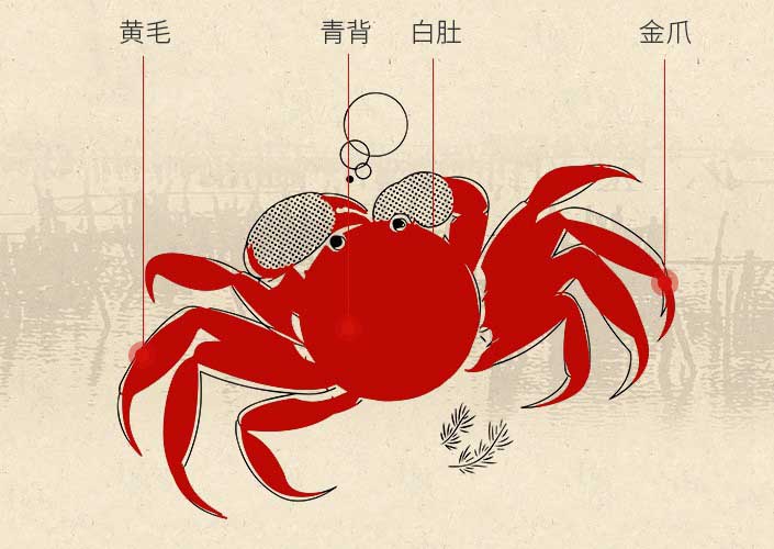 �����ѡƷ����ѵ����κ���բз