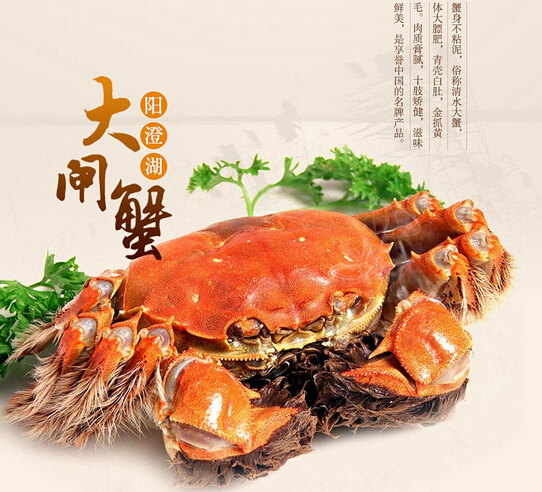 ��˵���κ���բз����ʷ