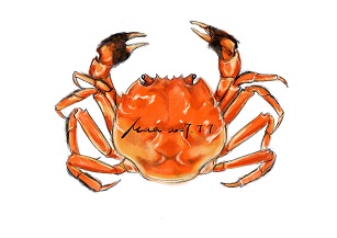 ����բзʮ��Ʒ�ơ�2018�й����´�...