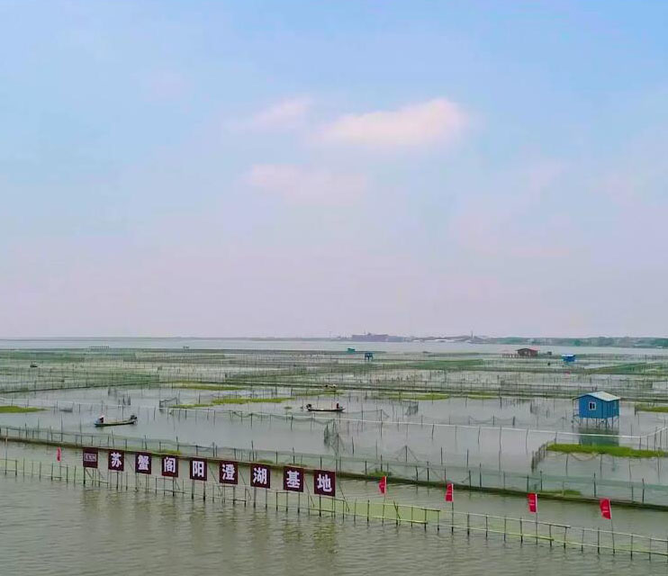 ��з�����κ���ֳ����