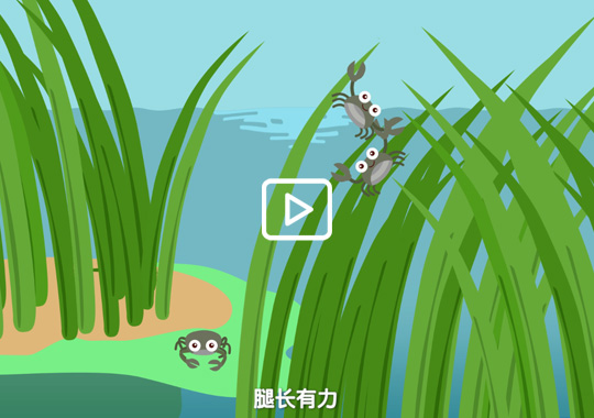 һֻ�õ���з�����κ���բз�ĳɳ�ʷ