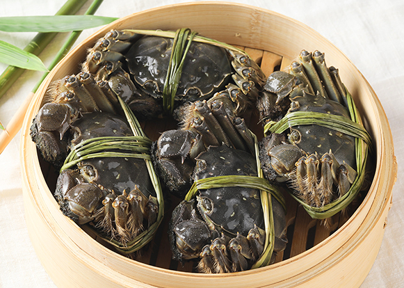 ��բз������ʲôʱ��ƷзҪ��ѭ...