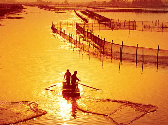 ��բз����������Ѱ����óԵĴ�բз��