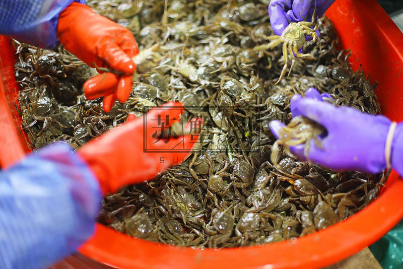 ��̽�ÿ�з��ֳ���ء���ů����ʱ��...