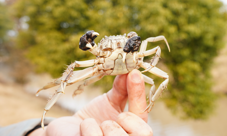 2021��з���բз��ʽ�º���ֳ��