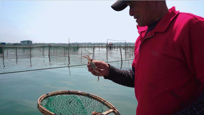 ������̽�á��ɿǻ�װ��Сз������